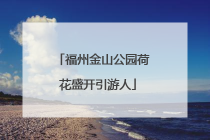 福州金山公园荷花盛开引游人