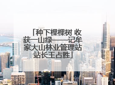 种下棵棵树 收获一山绿——记牟家大山林业管理站站长王占胜