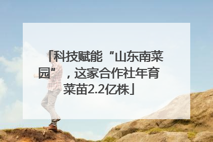 科技赋能“山东南菜园”，这家合作社年育菜苗2.2亿株