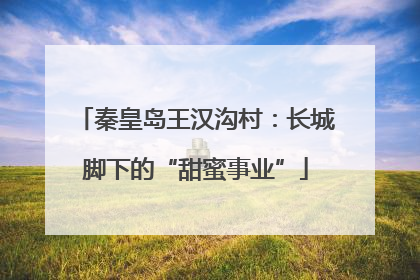秦皇岛王汉沟村：长城脚下的“甜蜜事业”