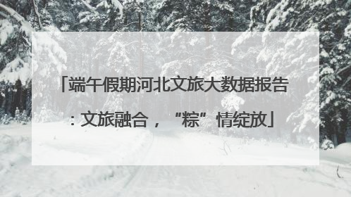 端午假期河北文旅大数据报告：文旅融合，“粽”情绽放