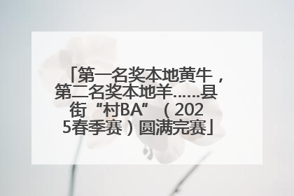 第一名奖本地黄牛，第二名奖本地羊……县街“村BA”（2025春季赛）圆满完赛