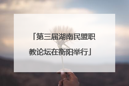 第三届湖南民盟职教论坛在衡阳举行