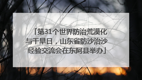 第31个世界防治荒漠化与干旱日，山东省防沙治沙经验交流会在东阿县举办