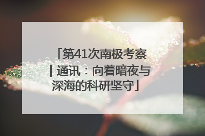 第41次南极考察｜通讯：向着暗夜与深海的科研坚守