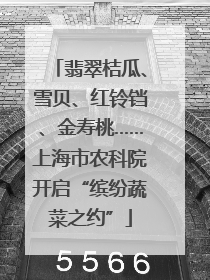 翡翠桔瓜、雪贝、红铃铛、金寿桃……上海市农科院开启“缤纷蔬菜之约”