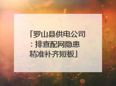 罗山县供电公司：排查配网隐患 精准补齐短板