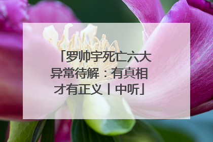 罗帅宇死亡六大异常待解：有真相才有正义丨中听