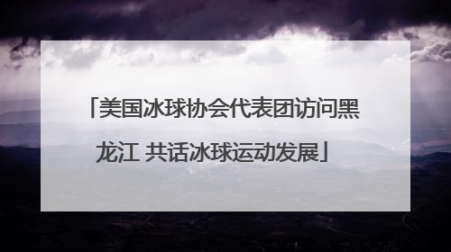 美国冰球协会代表团访问黑龙江 共话冰球运动发展
