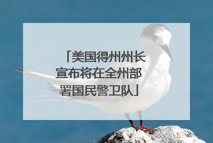 美国得州州长宣布将在全州部署国民警卫队