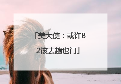 美大使：或许B-2该去趟也门