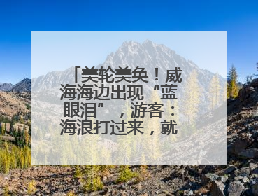 美轮美奂！威海海边出现“蓝眼泪”，游客：海浪打过来，就像星河一样