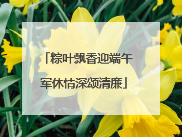 粽叶飘香迎端午 军休情深颂清廉