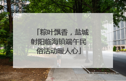 粽叶飘香，盐城射阳临海镇端午民俗活动暖人心