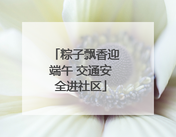 粽子飘香迎端午 交通安全进社区