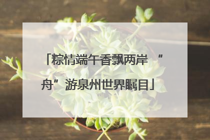 粽情端午香飘两岸 “舟”游泉州世界瞩目