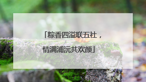 粽香四溢联五社，情满浦沅共欢颜