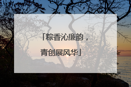 粽香沁廉韵，青创展风华