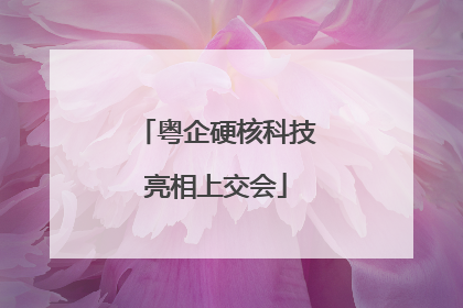 粤企硬核科技亮相上交会