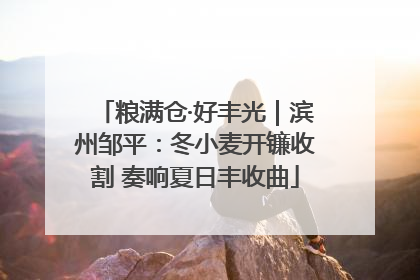 粮满仓·好丰光｜滨州邹平：冬小麦开镰收割 奏响夏日丰收曲