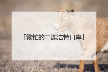 繁忙的二连浩特口岸