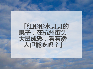 红彤彤水灵灵的果子，在杭州街头大量成熟，看着诱人但能吃吗？