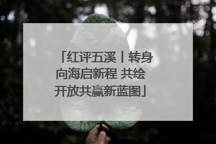 红评五溪丨转身向海启新程 共绘开放共赢新蓝图