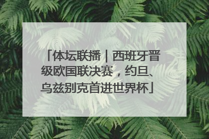体坛联播｜西班牙晋级欧国联决赛，约旦、乌兹别克首进世界杯