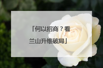 何以招商？看兰山升维破局