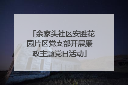 余家头社区安胜花园片区党支部开展廉政主题党日活动