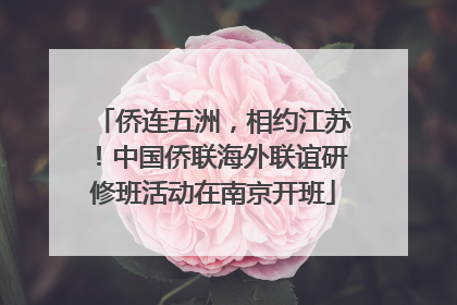 侨连五洲，相约江苏！中国侨联海外联谊研修班活动在南京开班