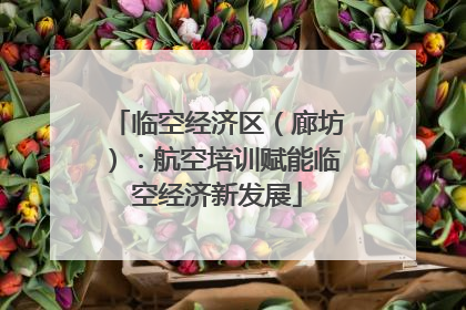临空经济区（廊坊）：航空培训赋能临空经济新发展