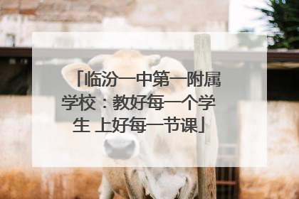 临汾一中第一附属学校：教好每一个学生 上好每一节课