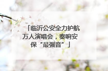 临沂公安全力护航万人演唱会，奏响安保“最强音”