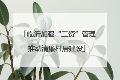 临沂加强“三资”管理 推动清廉村居建设
