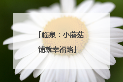 临泉：小蘑菇铺就幸福路