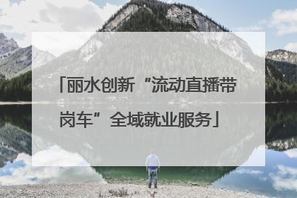 丽水创新“流动直播带岗车”全域就业服务