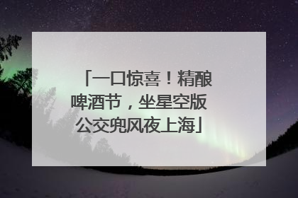 一口惊喜！精酿啤酒节，坐星空版公交兜风夜上海