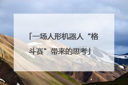 一场人形机器人“格斗赛”带来的思考