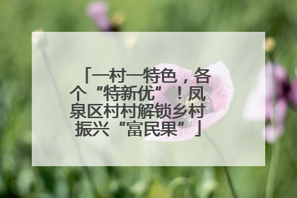 一村一特色，各个“特新优”！凤泉区村村解锁乡村振兴“富民果”