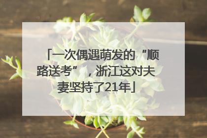 一次偶遇萌发的“顺路送考”，浙江这对夫妻坚持了21年