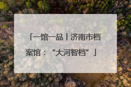 一馆一品丨济南市档案馆：“大河智档”