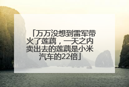 万万没想到雷军带火了莲藕，一天之内卖出去的莲藕是小米汽车的22倍