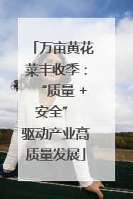 万亩黄花菜丰收季：“质量 + 安全” 驱动产业高质量发展
