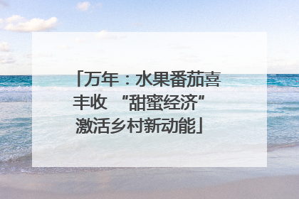 万年：水果番茄喜丰收 “甜蜜经济”激活乡村新动能