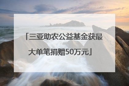 三亚助农公益基金获最大单笔捐赠50万元