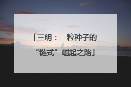 三明：一粒种子的“链式”崛起之路