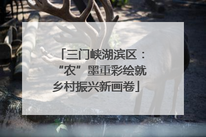 三门峡湖滨区：“农”墨重彩绘就乡村振兴新画卷