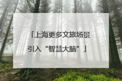 上海更多文旅场景引入“智慧大脑”