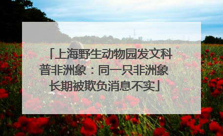 上海野生动物园发文科普非洲象：同一只非洲象长期被欺负消息不实